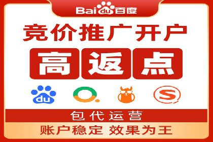 SEM推广实战：成功案例解读与策略调整